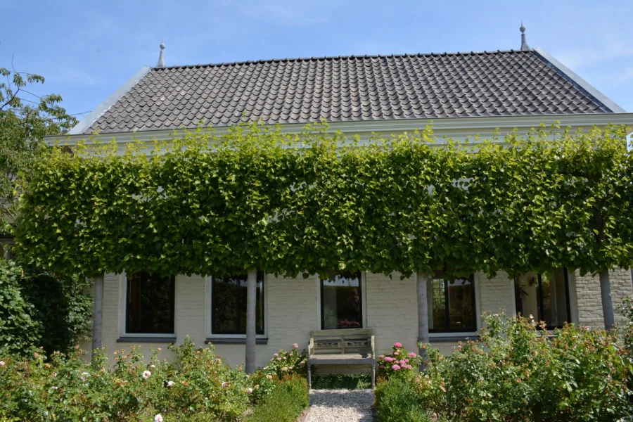 Stolk & Stolk - Zeeland